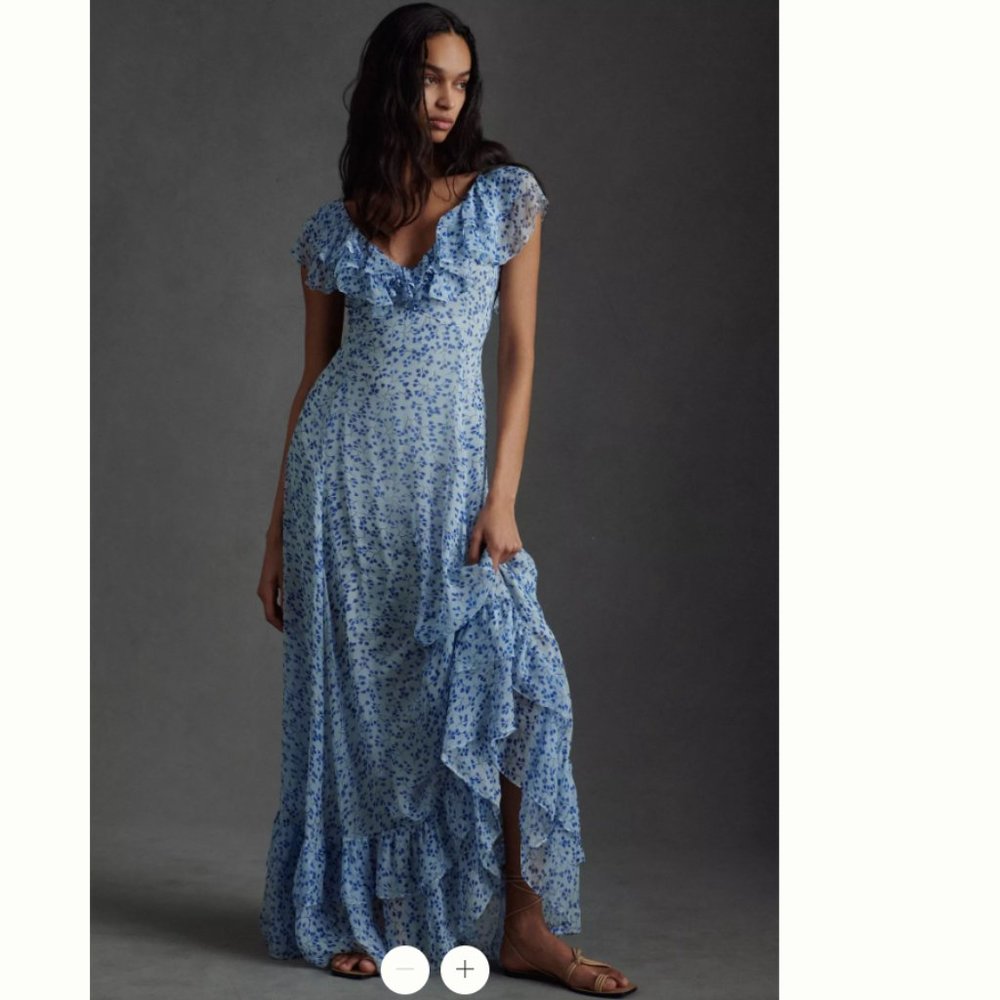 Sachin & Babi Ivy Chiffon Flutter-Sleeve Ruffled V-Neck Gown sz 12